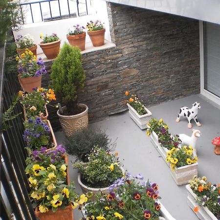 Hotel Santa Apolonia Bragança Exterior foto